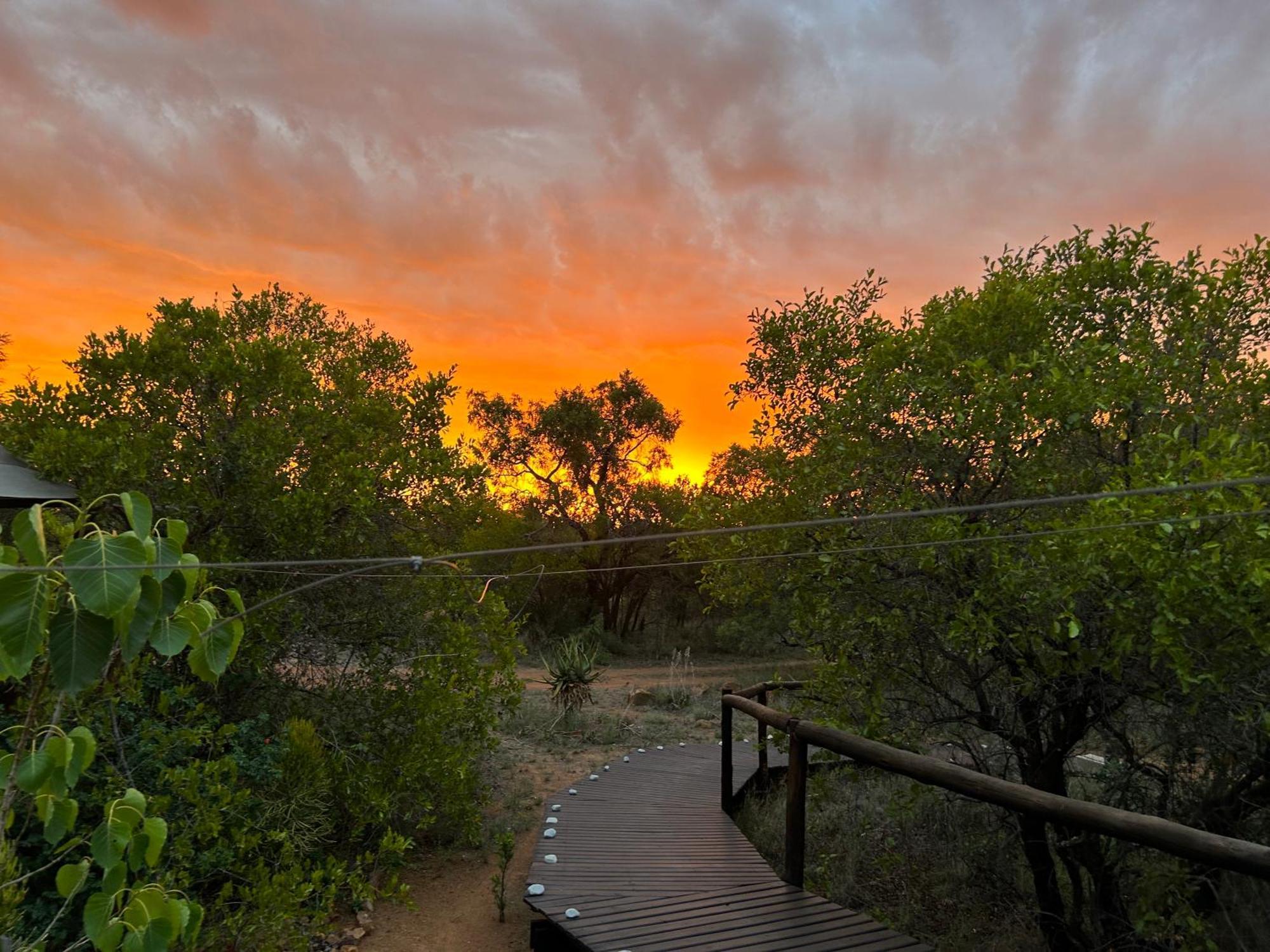 Out In Africa Wildlife Lodge Hammanskraal Exterior photo